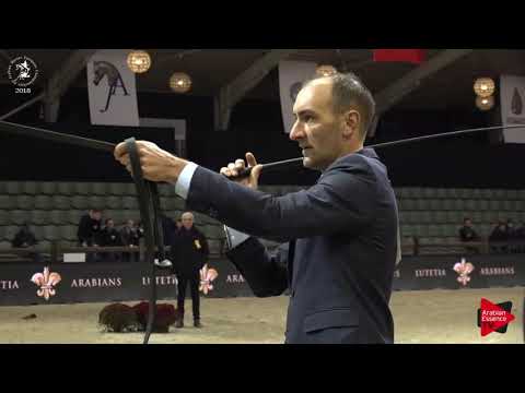 N.3 THALINA KA - Lier 2018 - Yearling Fillies (Class 1A)