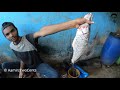 How To Cut & Cook Grill Mushka Fish- Kemari Fish Market - Awesome Fish Cleaning and Cutting Skills