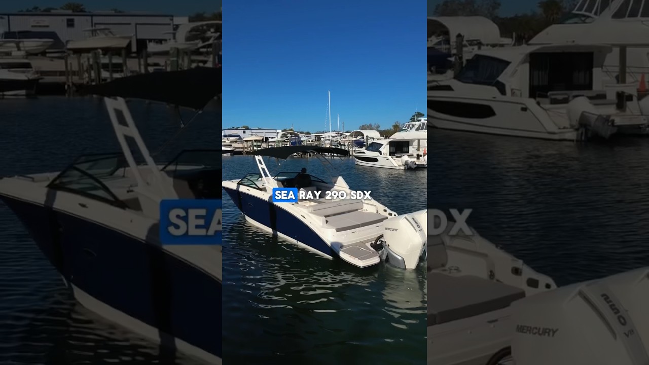 HIDDEN FEATURE on the Sea Ray 290 SDX| MarineMax Venice #shorts #youtubeshorts #boating  #searay