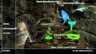 How to make the best enchant & smithing potion (Skyrim)