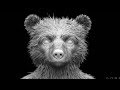 Paddington 2 Vfx Breakdown