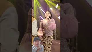 Download lagu Stecu Stecu  'Silvy Kumalasari Feat Achmad  Twentynine' #dangdut #dangdutkoplo #cover #dynamicduo mp3