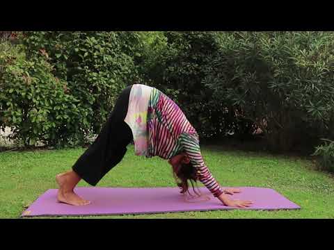 Le Chien Tête en Bas | Yoga débutant | Jours 16 [ Vie ]