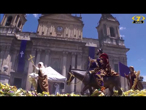 Procesion Jesus de las Palmas 2026 Canal 7 Domingo de Ramos Paso por Catedral 