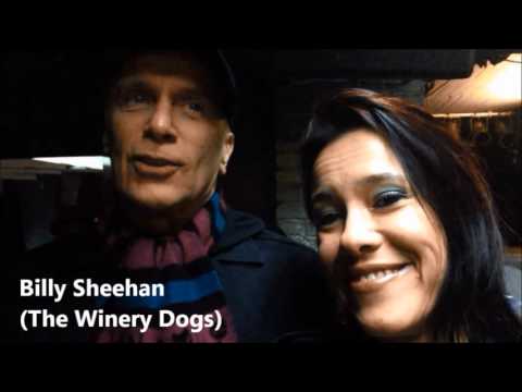 Jen Majura interviewing friends with funny questions...