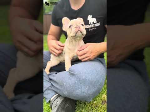 Video 2