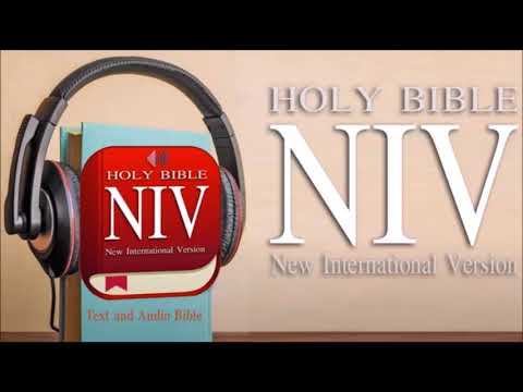 Audio Books NIV New International Version 1 -  58 Hebrews