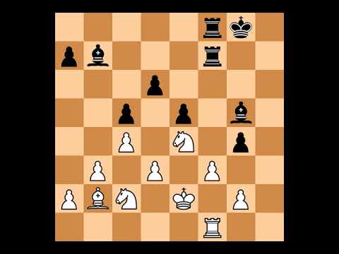 Emanuel Berg(2576) vs Matej Sebenik(2552) | Event: Olympiad Istanbul_M | 2012.09.04