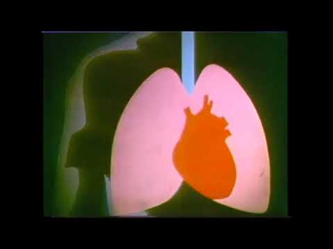 Rehydration: The Pulse of Life | Vibepedia