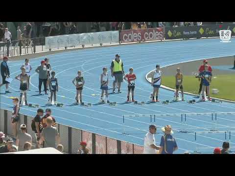 U12 Boys 80m Hurdles Timed Final 3: 2022 Commonwealth Bank State Track and Field Championships