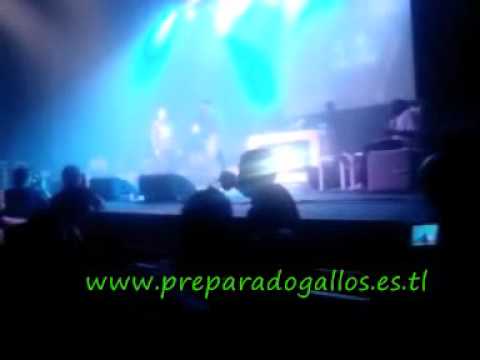 16avos McYuyu VS Laico www preparadogallos es tl