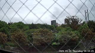 東京都江東区平野ライブカメラ Tokyo Koto Live camera.world.cam live webcam