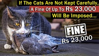 If the cats are not kept carefully, a fine of up to Rs 23,000 will be imposed...