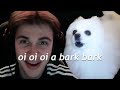 OI OI OI A EYE EYE Vs DOG