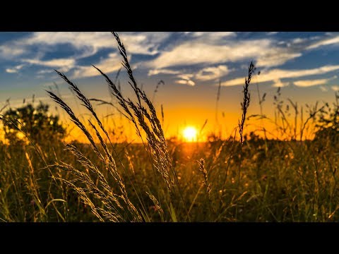 Rendez-vous AH - L'Alchimie, l'art de faire de l'or ou introspection de soi ? Rendez-vous AH - L'Alchimie, l'art de faire de l'or ou introspection de soi ?