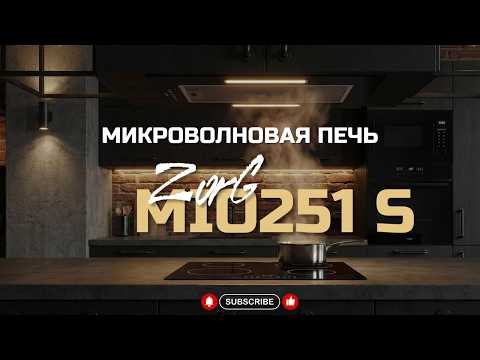 Миниатюра изображения товара Микроволновая печь ZORG MIO251 S (черный)