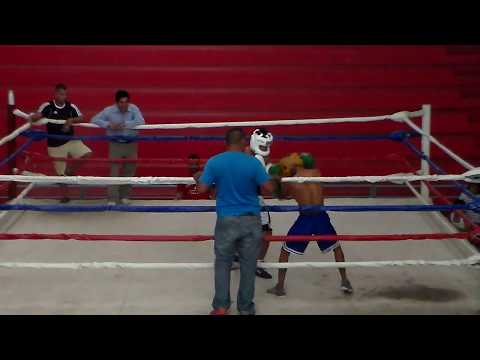 bayron castellon  vs  wiston guerrero