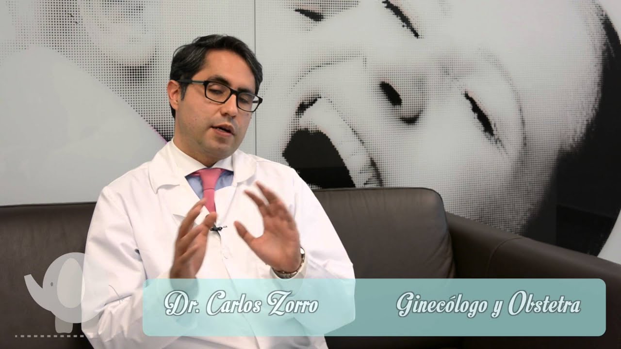 Carlos Andres Zorro Rodriguez-31