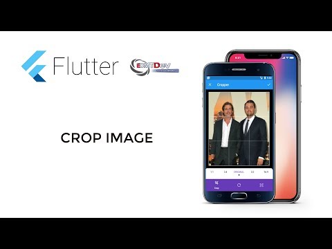 Flutter Development Tutorial Crop Image