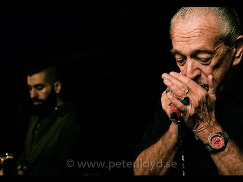 River hip Mama with Charlie Musselwhite at Nefertiti Gothenburg Sweden 2017