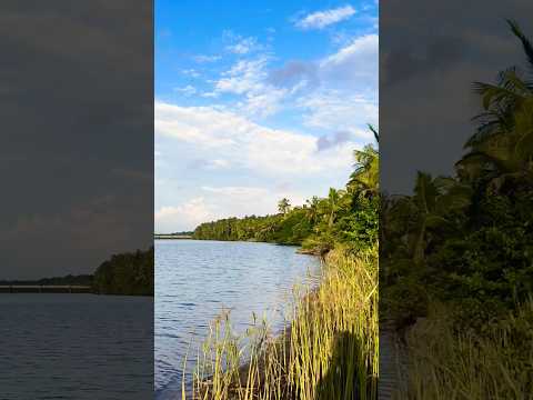 മോന്താൽ പുഴയുടെ തീരങ്ങളിൽ ❤️#ytshorts #trendingreels #puzha #naturelovers #@Raysha-x3s