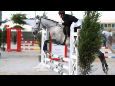 Oliveira do Bairro 2012