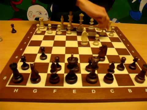 Dagens videonøtt nr 15