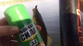 Где рыбалка в рузаевке