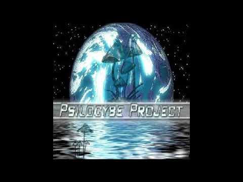 Psilocybe Project - Divine Magic (LAN + Psilocybe Project)