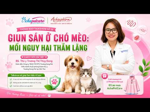 TALKSHOW 35 | GIUN SÁN Ở CHÓ MÈO: MỐI NGUY HẠI THẦM LẶNG