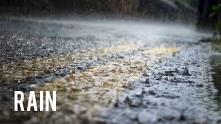 Download lagu Rain Sound Effect - Rain Sounds | No copyright sound Effect mp3 Download lagu Rain Sound Effect - Rain Sounds | No copyright sound Effect mp3