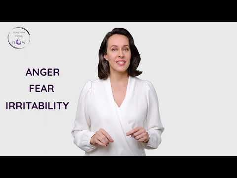 Integrative Energy Now video.