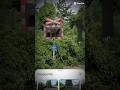 Dreamcore Level Crossing Edit Part 1 Levelcrossing Train Googlemaps Railway Sad Abandoned