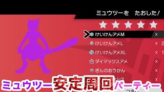 【ポケモン剣盾】安定攻略！周回用パーティー紹介【ミュウツーレイド攻略】