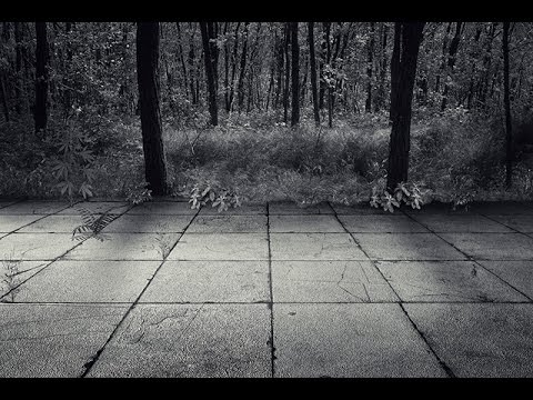 03 Forest of ghosts - Sickabell (Valiant) - LYRICS