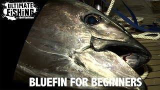 Bluefin for Beginners