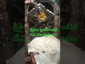 Srisailam Bramarambika Devi Nija Rupa Srisailam Devotional Entertainment