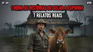 1 HORA DE TERROR - 7 RELATOS REAIS | EP.347 #dp