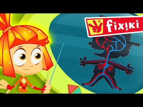 Fixiki - Micul Tom și Analizele de Sânge 🩸