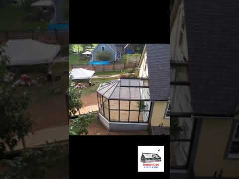 What dreams are made of. Who wants one? #shorts #shortvideo #shortsfeed #greenhouse #plants