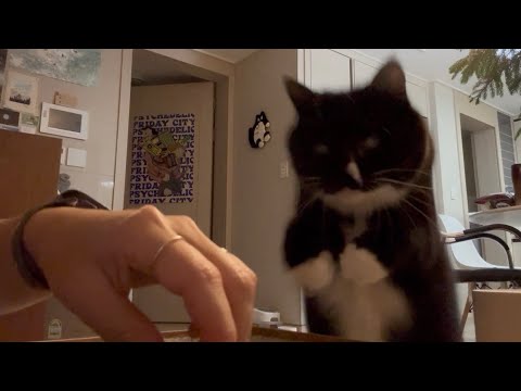 북어는 먹을 때 와그삭 소리가 난다