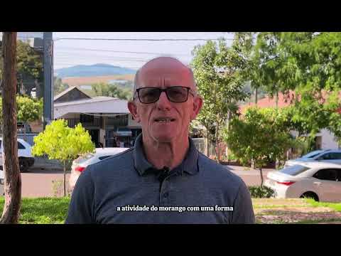 IDR-PARANÁ PROMOVE TREINO E VISITA COM PRODUTORES DE MORANGO