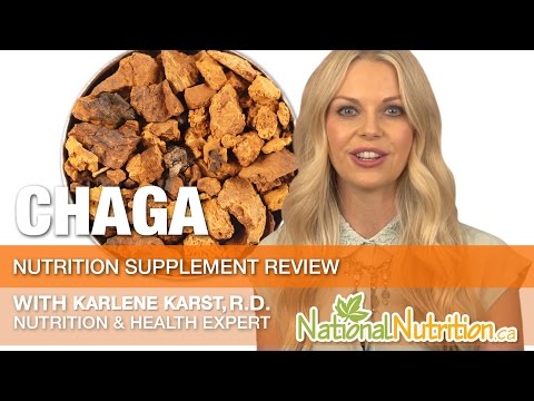 Chaga Mushroom Benefits