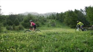preview picture of video 'VTT - TROTTIN'HERBE SPORT CONFORT'