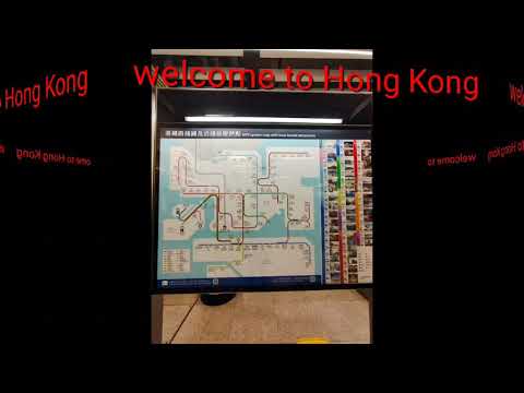 my first summer in Hong Kong