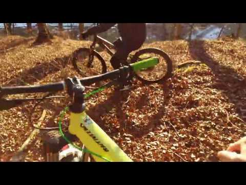 Mini trip spre Negulesti !