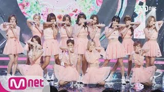 [WJSN - Secret] KPOP TV Show | M COUNTDOWN 160901 EP.491
