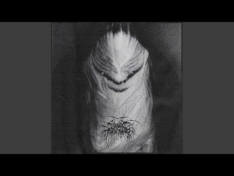 I should have killed you