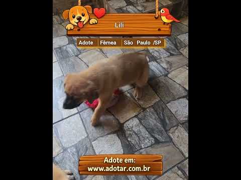 Vídeo de Lili 