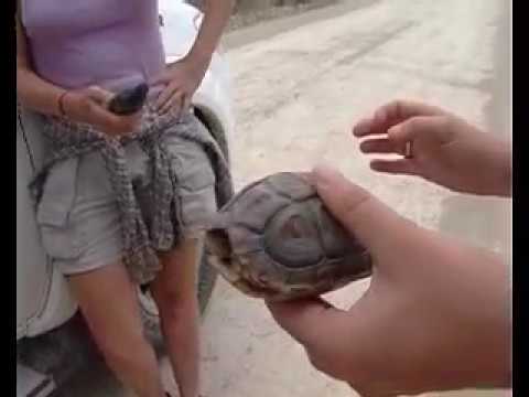 Marius Burger (slangman)